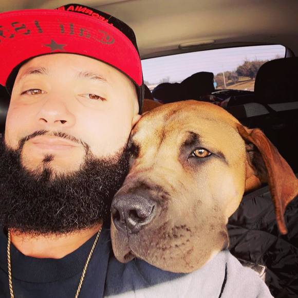 Meet your Posher, Chris - Picture 1 of 1